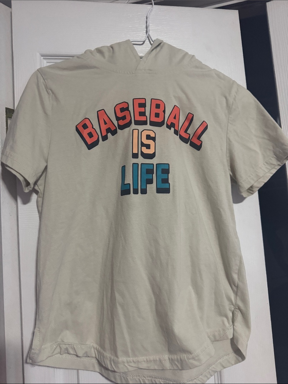 Baseball Is Life Graphic Hoodie Tee from Plate Crate- Coral & Teal Lettering